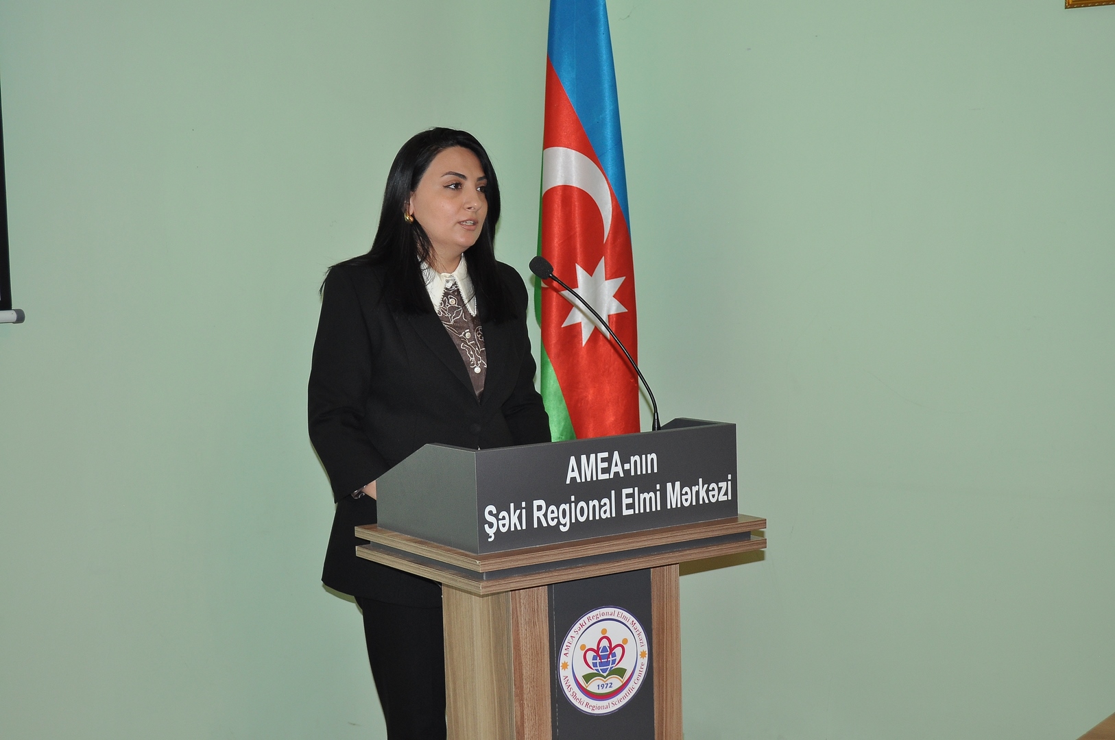 DSC_0041 (Копировать).JPG
