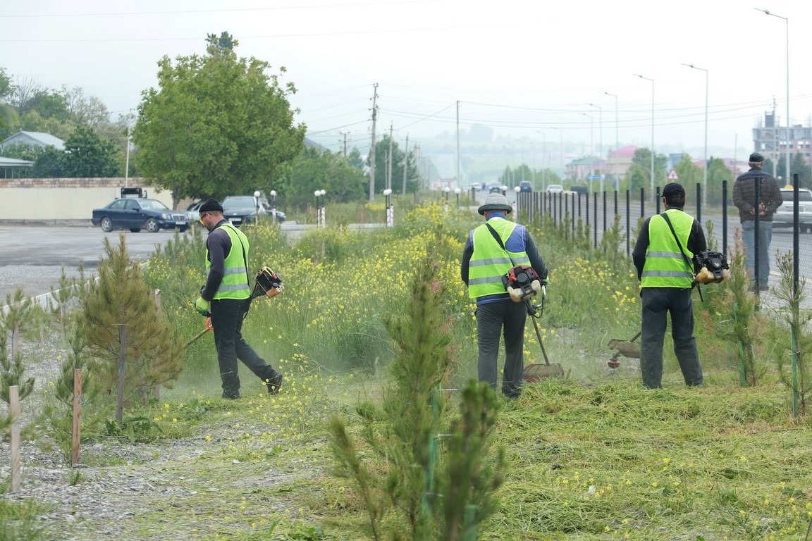 WhatsApp Image 2025-05-03 at 15.07.02.jpeg