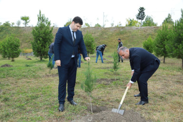 27 sentyabr - Anım Gününun beşinci ildönümü ilə bağlı Şəkidə Vətən müharibəsi şəhidlərinin xatirəsi yad edilib və ağacəkmə aksiyası təşkil olunub