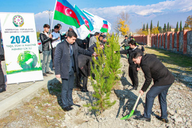 Şəkidə Yeni Azərbaycan Partiyasının təsis edilməsinin 32-ci ildönümü münasibətilə ağacəkmə aksiyası keçirilib