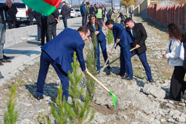 Şəkidə Yeni Azərbaycan Partiyasının təsis edilməsinin 32-ci ildönümü münasibətilə ağacəkmə aksiyası keçirilib