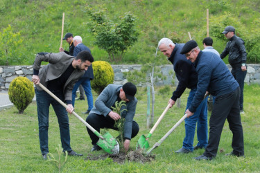 “Konstitusiya və Suverenlik İli” çərçivəsində Şəkidə Ulu Öndər Heydər Əliyevin anadan olmasının 102-ci ildönümünə həsr olunmuş ağacəkmə aksiyası təşkil olunub