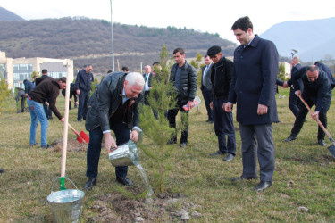 Şəkidə Ulu Öndər Heydər Əliyevin yüz illiyinə həsr olunmuş ağacəkmə aksiyası keçirilib