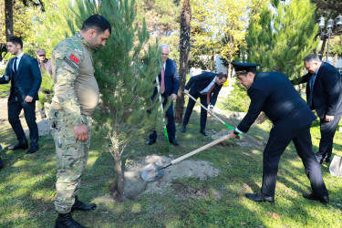 Zəfər Gününün beşinci ildönümü ilə əlaqədar Şəkidə ağacəkmə aksiyası təşkil olunub