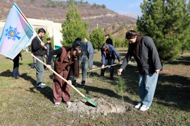 Şəkidə Yeni Azərbaycan Partiyasının təsis edilməsinin 33-cü ildönümü münasibətilə ağacəkmə aksiyası təşkil olunub
