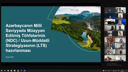 Azərbaycanın Milli Səviyyədə Müəyyən Edilmiş Töhfələrinin (NDC) və Uzunmüddətli Strategiyasının (LTS) hazırlanmasına həsr olunmuş onlayn görüş keçirilib