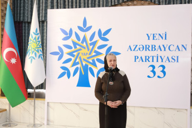 Şəkidə Yeni Azərbaycan Partiyasının təsis edilməsinin 33-cü ildönümü münasibətilə tədbirlər keçirilib