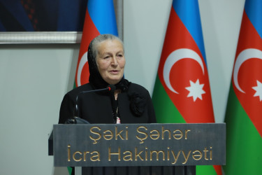 Şəkidə Yeni Azərbaycan Partiyasının VIII Qurultayından irəli gələn vəzifələrə dair müşavirə keçirilib