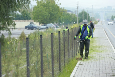 Şəki şəhərində iməcilik işləri davam etdirilir