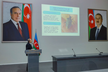 Şəkidə 1 noyabr – Kənd təsərrüfatı işçiləri günü qeyd edilib