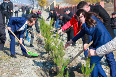 Şəkidə Yeni Azərbaycan Partiyasının təsis edilməsinin 32-ci ildönümü münasibətilə ağacəkmə aksiyası keçirilib