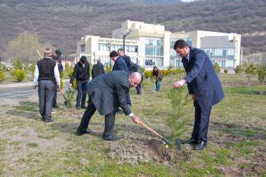 Şəkidə Ulu Öndər Heydər Əliyevin yüz illiyinə həsr olunmuş ağacəkmə aksiyası keçirilib