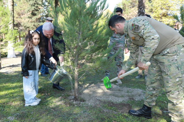 Zəfər Gününün beşinci ildönümü ilə əlaqədar Şəkidə ağacəkmə aksiyası təşkil olunub