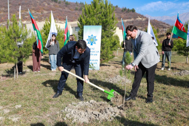Şəkidə Yeni Azərbaycan Partiyasının təsis edilməsinin 33-cü ildönümü münasibətilə ağacəkmə aksiyası təşkil olunub