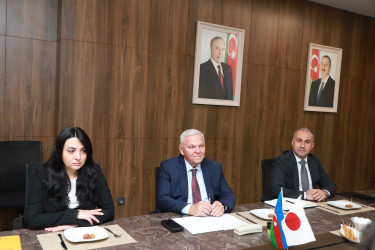 Yaponiyalı qonaqlar Şəki şəhərində səfərdə olublar