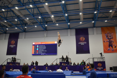 Batut gimnastikası üzrə yarışda ölkəmizi 3 qadın gimnast təmsil edir