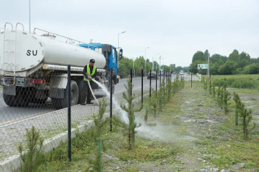 Şəki şəhərində iməcilik işləri davam etdirilir