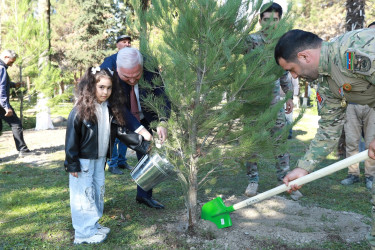 Zəfər Gününün beşinci ildönümü ilə əlaqədar Şəkidə ağacəkmə aksiyası təşkil olunub