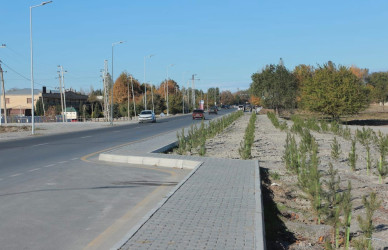 Şəki rayonu ərazisində geniş abadlıq və quruculuq işləri aparılır