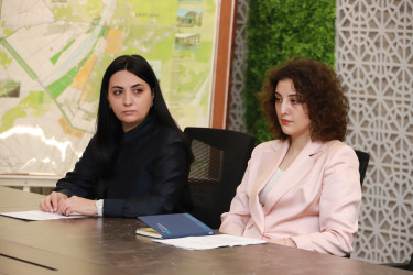 “Qardaşlaşmış Şəki və Jmerinka şəhərlərinin tarixi-memarlıq irsinin öyrənilməsi” mövzusunda videokonfrans formatında görüş keçirilib