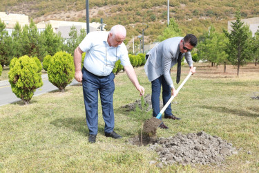 27 sentyabr - Anım Günü ilə əlaqədar Şəkidə ağacəkmə aksiyası təşkil olunub