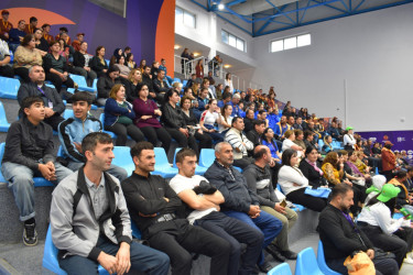 Azərbaycanın 4 gimnastı batut gimnastikası üzrə yarışın finalına vəsiqə qazanıb