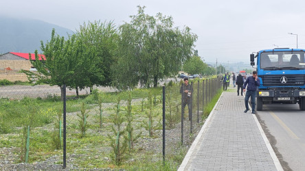 Şəki şəhərində iməcilik işləri davam etdirilir