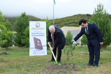 27 sentyabr - Anım Gününun beşinci ildönümü ilə bağlı Şəkidə Vətən müharibəsi şəhidlərinin xatirəsi yad edilib və ağacəkmə aksiyası təşkil olunub