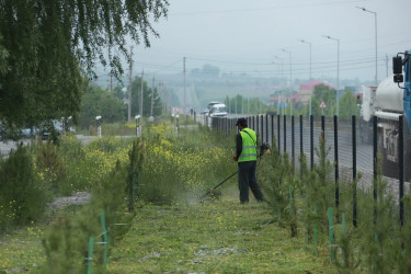Şəki şəhərində iməcilik işləri davam etdirilir
