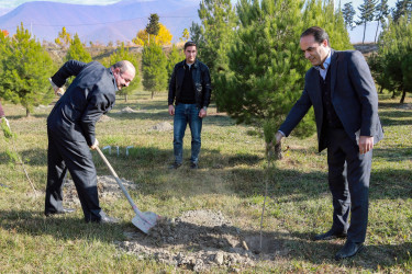 Şəkidə Yeni Azərbaycan Partiyasının təsis edilməsinin 33-cü ildönümü münasibətilə ağacəkmə aksiyası təşkil olunub