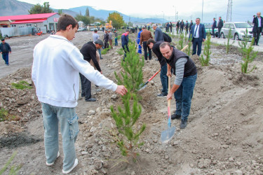 “Yaşıl Dünya naminə həmrəylik ili” çərçivəsində Şəkidə növbəti ağacəkmə aksiyası keçirilib