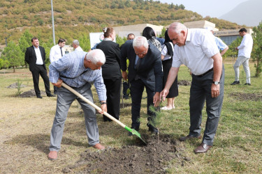 27 sentyabr - Anım Günü ilə əlaqədar Şəkidə ağacəkmə aksiyası təşkil olunub