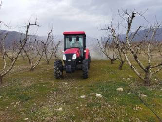 Şəkidə payızlıq taxıl sahələrində kompleks mübarizə tədbirləri görülür