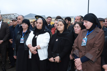8 Noyabr – Zəfər Günü ilə əlaqədar Şəkidə “Qəhrəmanlar Bağı” layihəsi çərçivəsində ağacəkmə aksiyası təşkil olunub