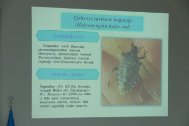 Şəkidə 1 noyabr – Kənd təsərrüfatı işçiləri günü qeyd edilib