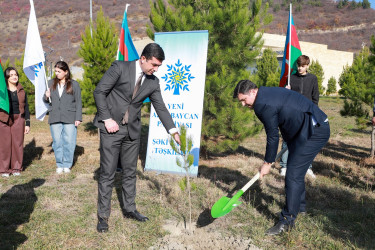 Şəkidə Yeni Azərbaycan Partiyasının təsis edilməsinin 33-cü ildönümü münasibətilə ağacəkmə aksiyası təşkil olunub