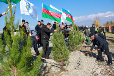 Şəkidə Yeni Azərbaycan Partiyasının təsis edilməsinin 32-ci ildönümü münasibətilə ağacəkmə aksiyası keçirilib