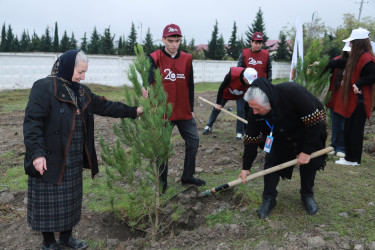 8 Noyabr – Zəfər Günü ilə əlaqədar Şəkidə “Qəhrəmanlar Bağı” layihəsi çərçivəsində ağacəkmə aksiyası təşkil olunub