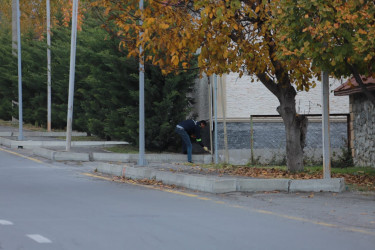 Şəki rayonu ərazisində geniş abadlıq və quruculuq işləri aparılır