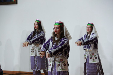 TÜRKSOY ölkələri sənətçilərinin və rəqs qrupunun Şəki festivalında çıxışı maraqla qarşılanıb