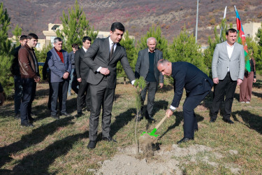 Şəkidə Yeni Azərbaycan Partiyasının təsis edilməsinin 33-cü ildönümü münasibətilə ağacəkmə aksiyası təşkil olunub