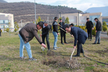 Şəkidə Ulu Öndər Heydər Əliyevin yüz illiyinə həsr olunmuş ağacəkmə aksiyası keçirilib