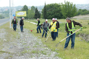 Şəki şəhərində iməcilik işləri davam etdirilir