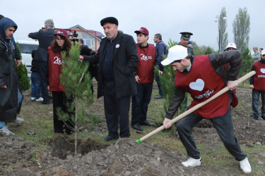 8 Noyabr – Zəfər Günü ilə əlaqədar Şəkidə “Qəhrəmanlar Bağı” layihəsi çərçivəsində ağacəkmə aksiyası təşkil olunub