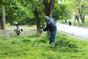 Şəki şəhərində iməcilik işləri davam etdirilir