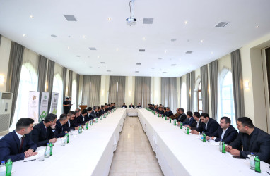 “Regional tərəfdaşların inkişafı” layihəsi çərçivəsində Şəkidə sahibkarlarla görüş keçirilib