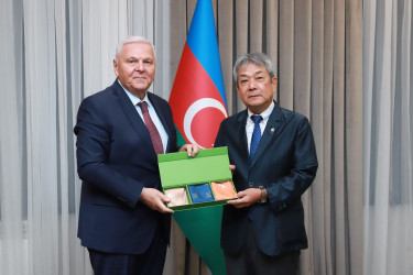 Yaponiyalı qonaqlar Şəki şəhərində səfərdə olublar