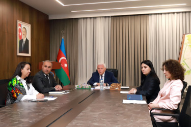 “Qardaşlaşmış Şəki və Jmerinka şəhərlərinin tarixi-memarlıq irsinin öyrənilməsi” mövzusunda videokonfrans formatında görüş keçirilib