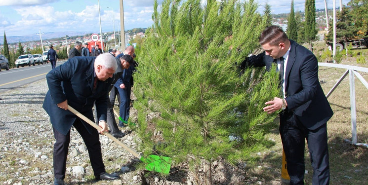 “Yaşıl Dünya naminə həmrəylik ili” çərçivəsində Şəkidə ağacəkmə aksiyaları davam edir