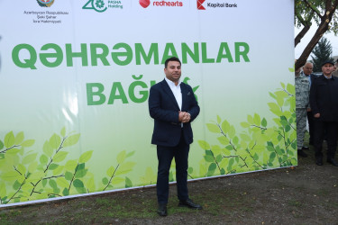 8 Noyabr – Zəfər Günü ilə əlaqədar Şəkidə “Qəhrəmanlar Bağı” layihəsi çərçivəsində ağacəkmə aksiyası təşkil olunub